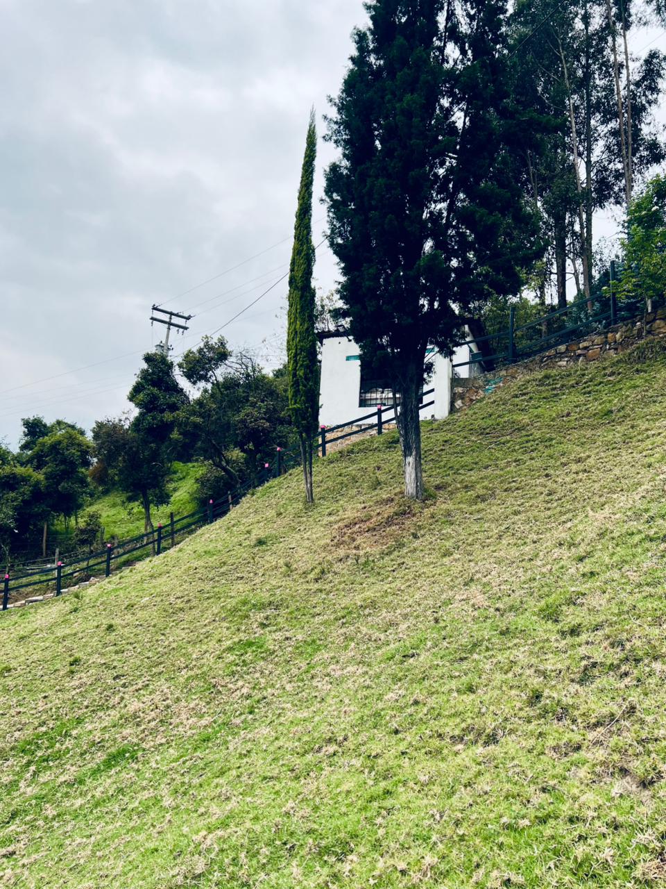 Sede Finca 4