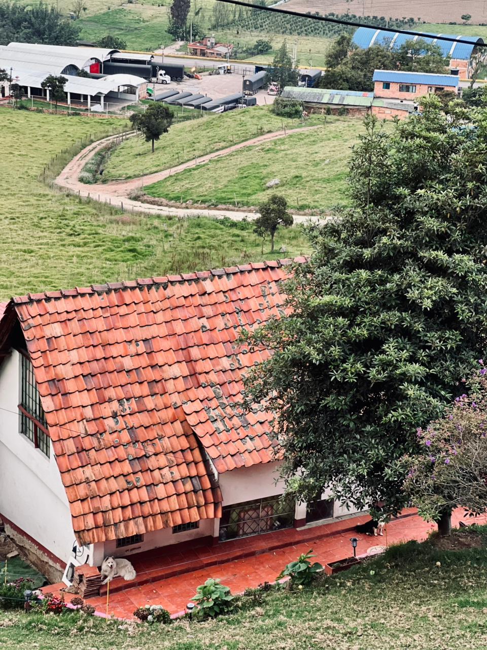 Sede Finca 6