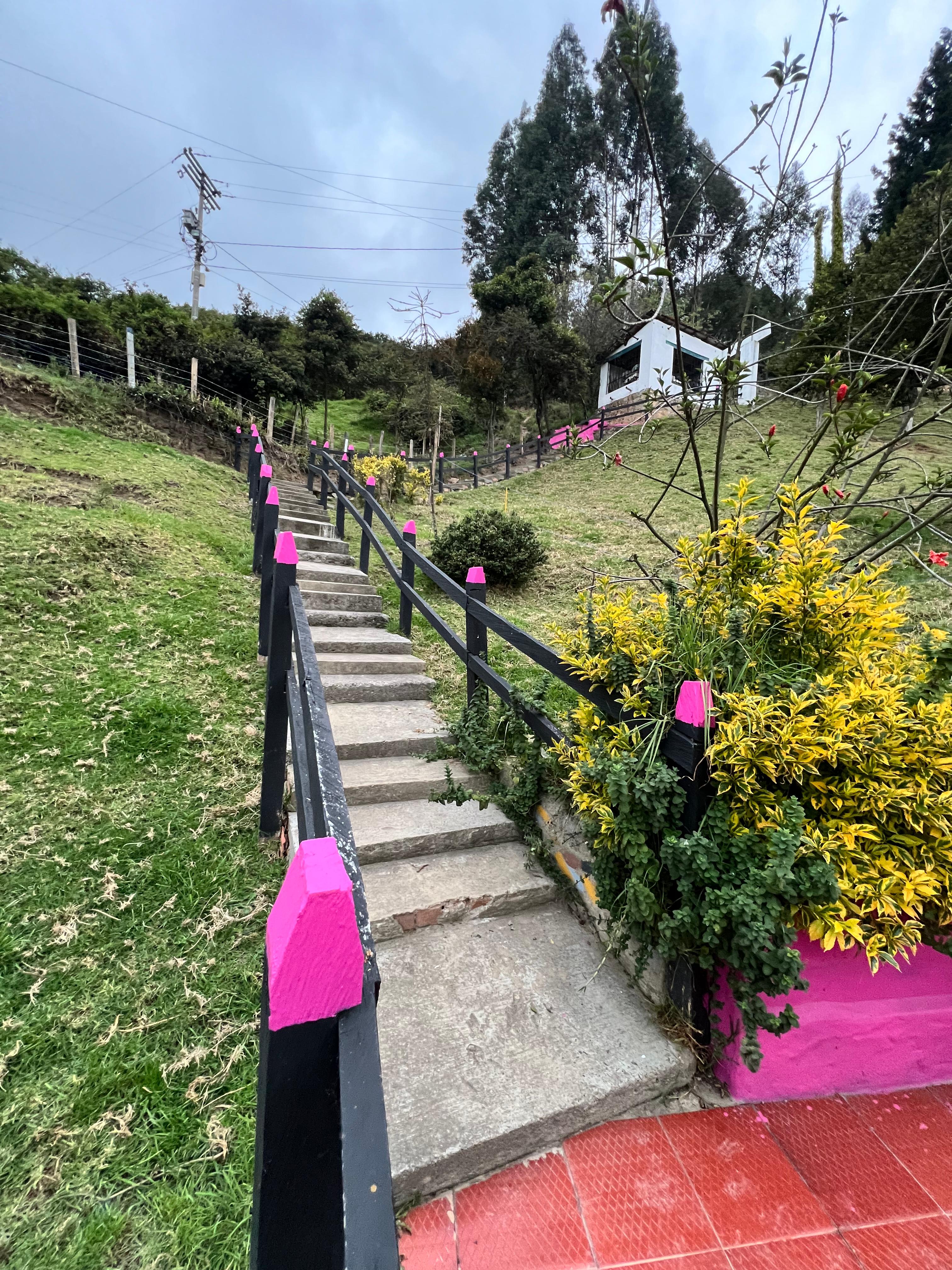 Sede Finca 8